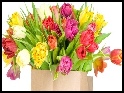Bukiet, Kolorowe, Tulipany